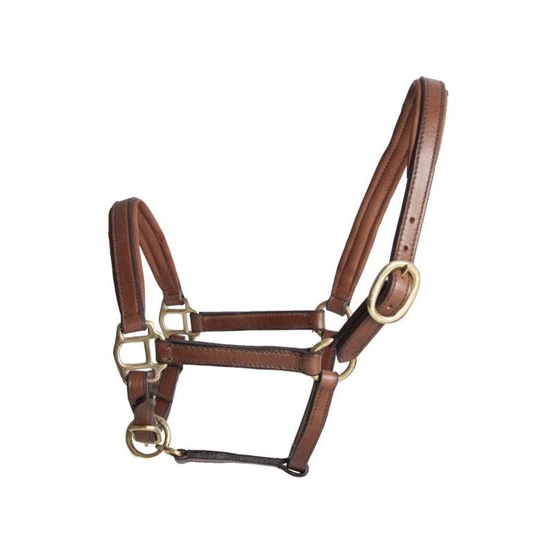 TdeT Licol Cuir Mini et Poulain - SHOP HORSE